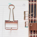 2 Silver Skeleton Binder Clips