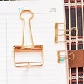2 Gold Skeleton Binder Clips